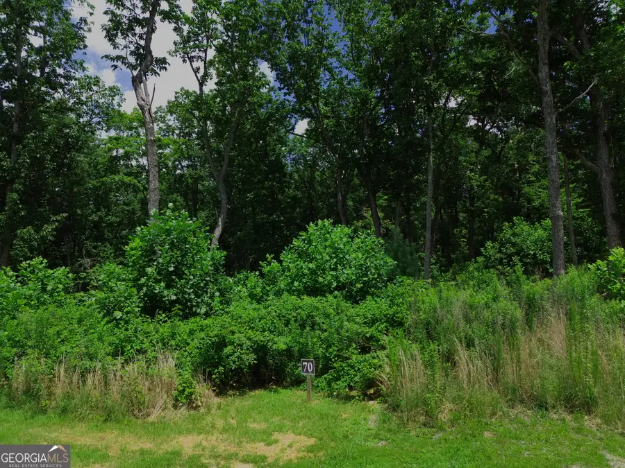 LOT 70 High Summit Dr, Talking Rock, GA 30175 - #2