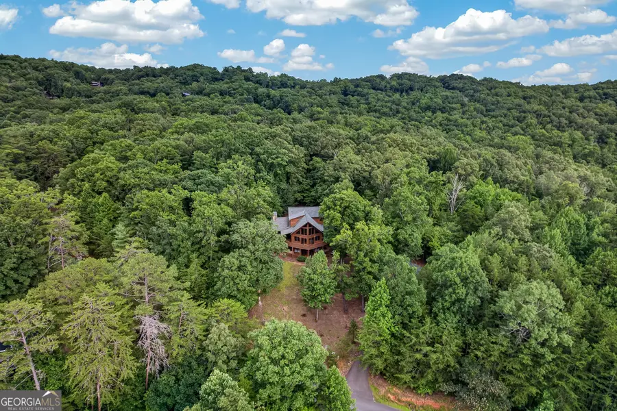 23 Dolores Drive, Mineral Bluff, GA 30559 - #3