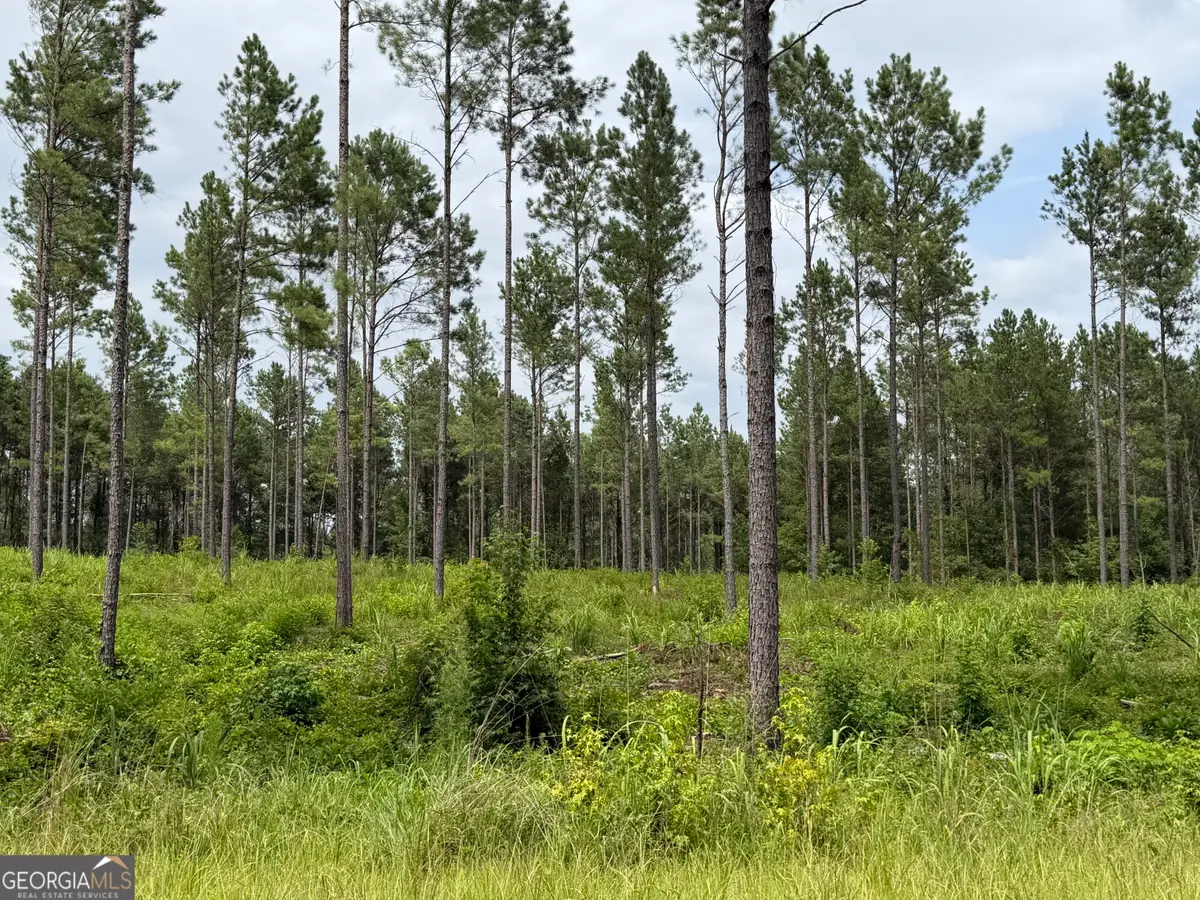006 Old Monticello Road, Milledgeville, GA 31061 - #1