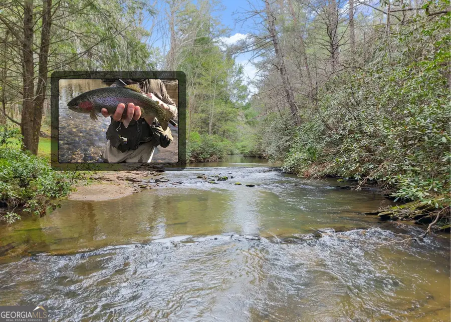 LOT 22 Soque Falls Circle, Clarkesville, GA 30523 - #2