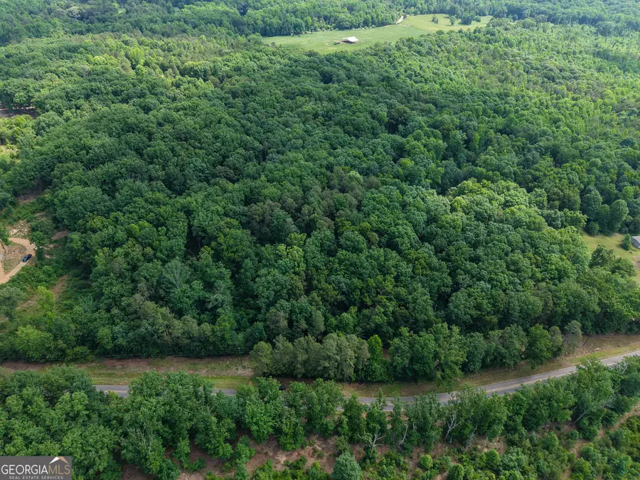 0 Christmas Tree Road, Homer, GA 30547 - #3