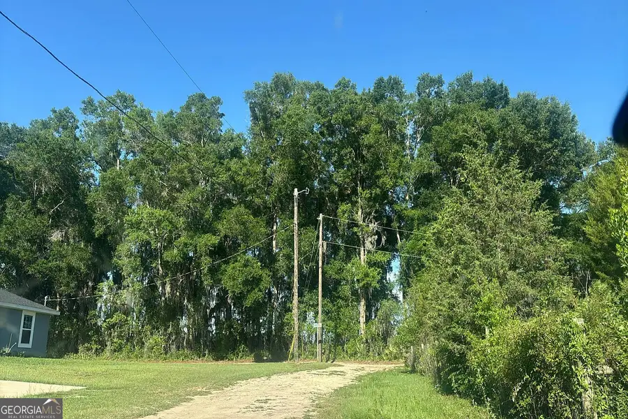 877 NW 126th Lane, Citra, FL 32113 - #3