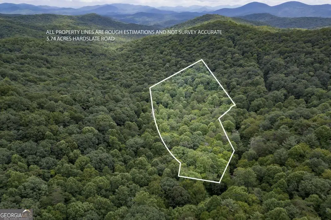 5.74 AC Hardslate Road, Ellijay, GA 30540 - #1