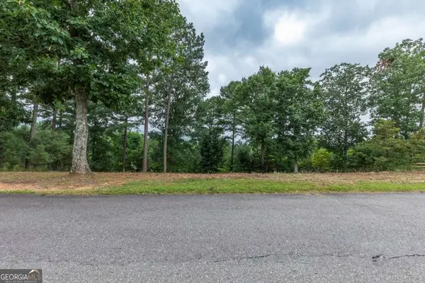 LOT 13 Thirteen Hundred, Blairsville, GA 30512