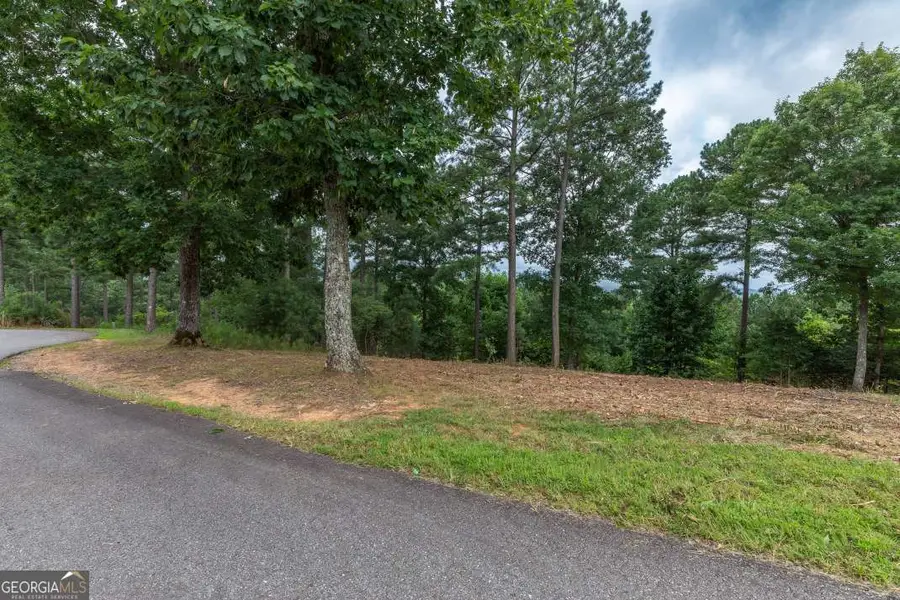 LOT 13 Thirteen Hundred, Blairsville, GA 30512 - #2