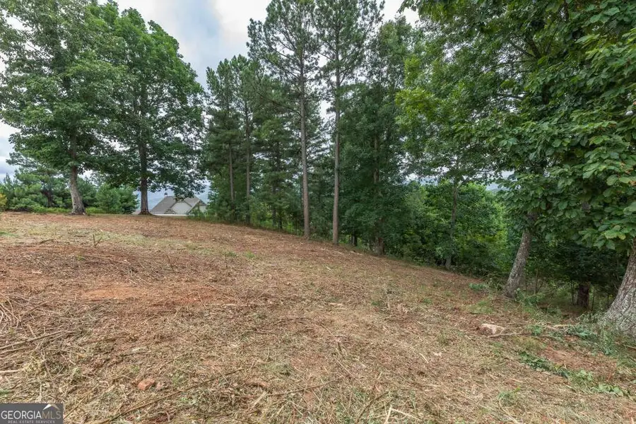 LOT 13 Thirteen Hundred, Blairsville, GA 30512 - #3