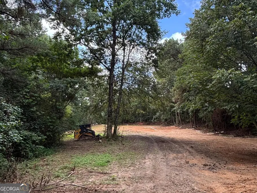 17 Blackberry Creek Drive, Carrollton, GA 30116 - #3