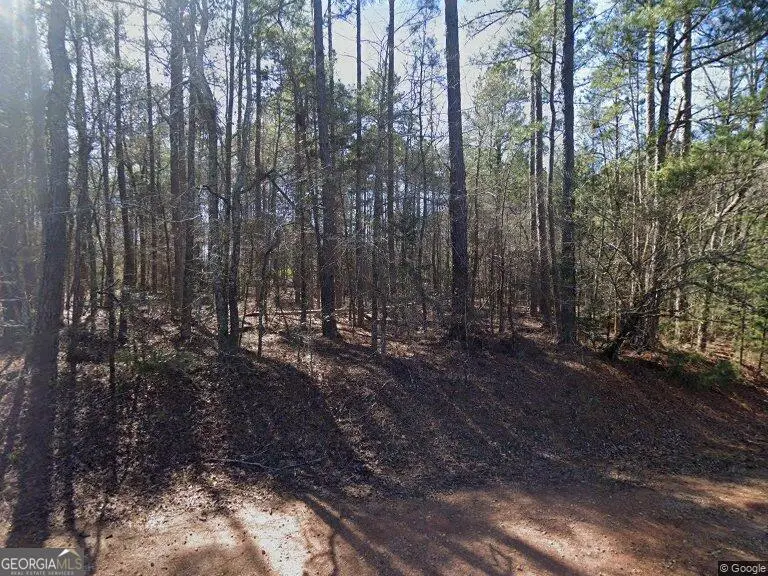 1027 Granada Court, Grovetown, GA 30813 - #1