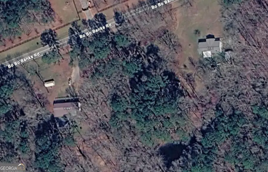 1204 Bo Bo Banks Road, Grantville, GA 30220 - #3