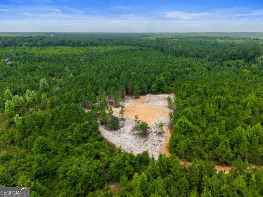 381 Findley Cemetery Road, Lyons, GA 30436 - #3