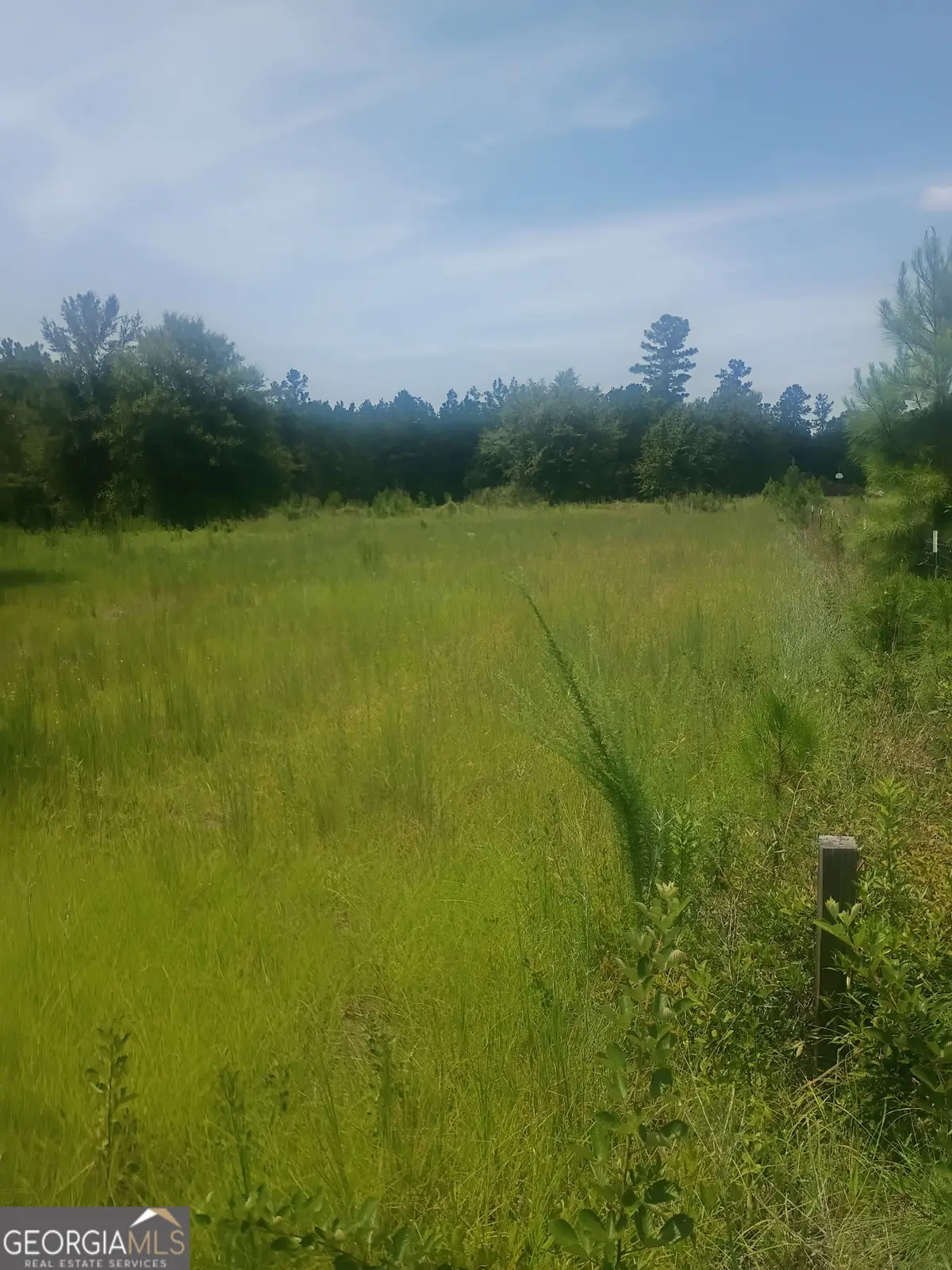 608 Scottland Towns Road, McRae, GA 31055 - #1