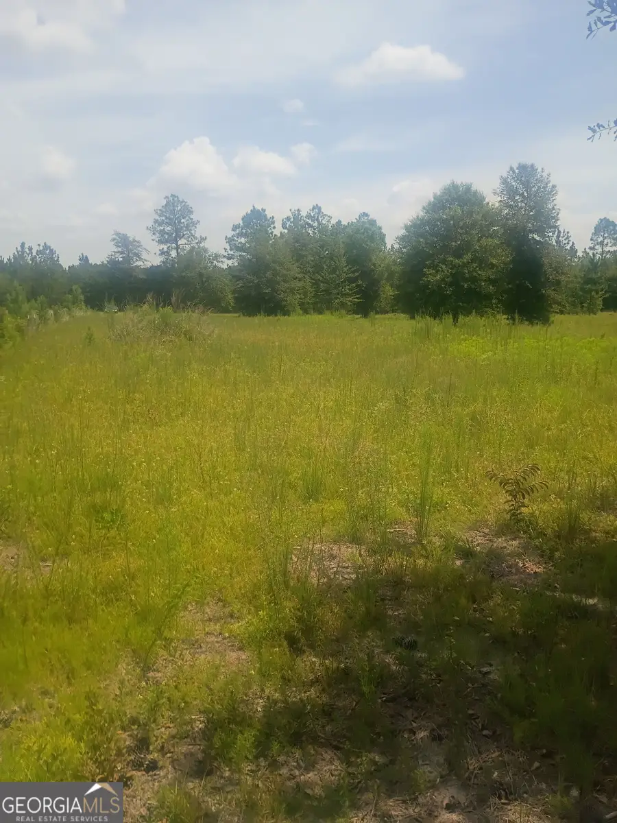 608 Scottland Towns Road, McRae, GA 31055 - #2