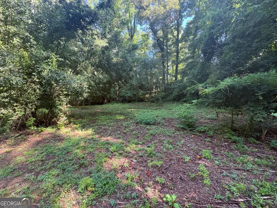 75 W Sycamore Court, Covington, GA 30016 - #3