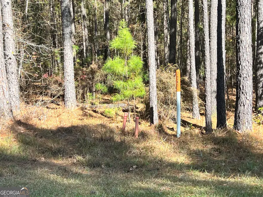 LOT #41 Mariners Way, Lincolnton, GA 30817 - #3
