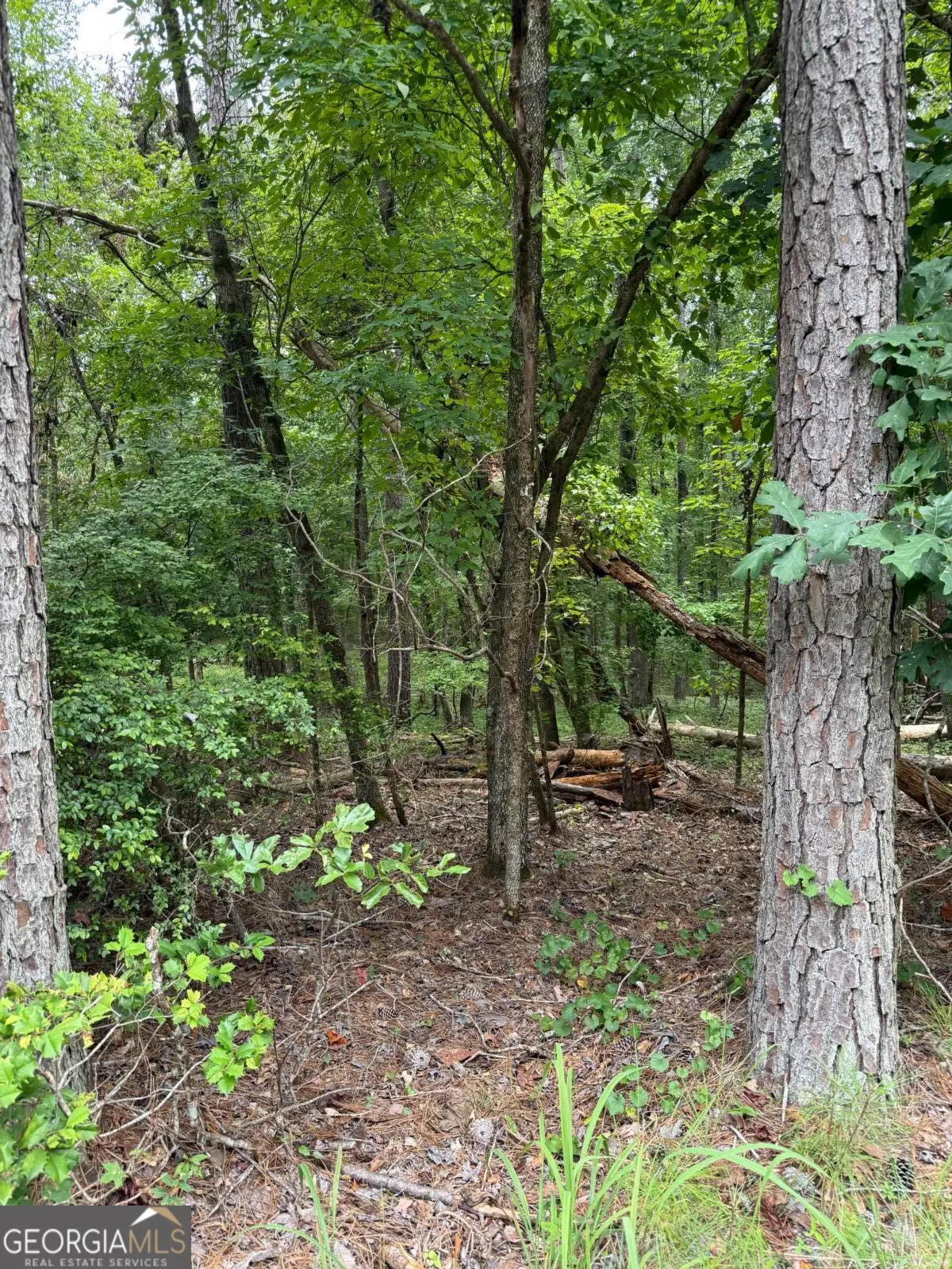 LOT 79 Island Creek Drive, Sparta, GA 31087 - #1