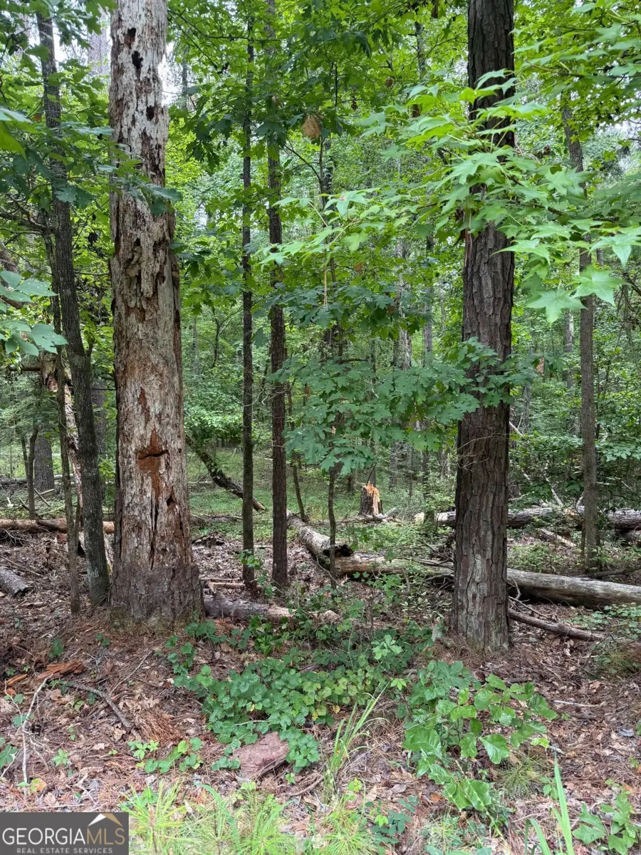 LOT 79 Island Creek Drive, Sparta, GA 31087 - #3