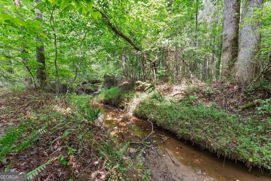 8817 Shallow Creek Trail #30, Clermont, GA 30527 - #3