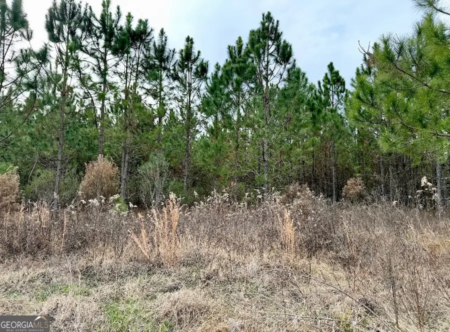 0 John M Brewton Rd, Glennville, GA 30427 - #2