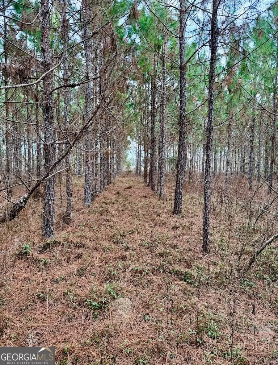 0 John M Brewton Rd, Glennville, GA 30427 - #3