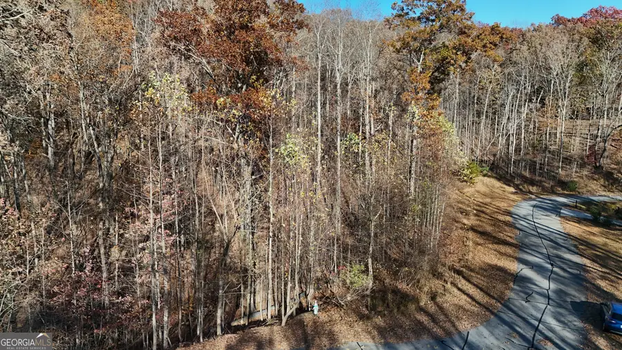 LOT 198 Northshore Drive, Cleveland, GA 30528 - #2