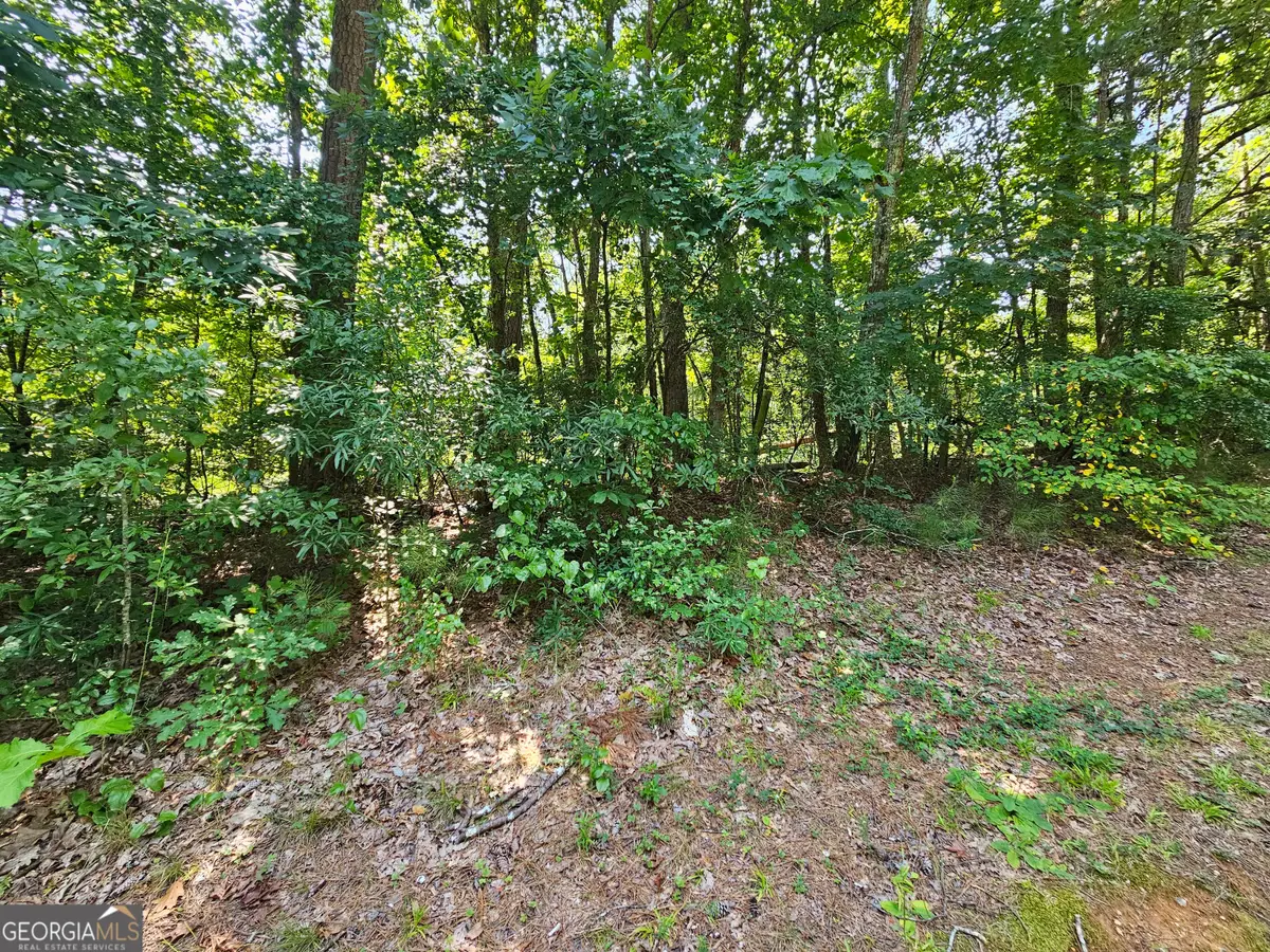 LOT 4 June Ivey Rd, Bethlehem, GA 30620 - #1