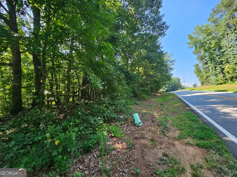 LOT 4 June Ivey Rd, Bethlehem, GA 30620 - #3