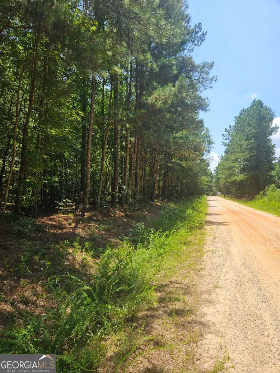 292 Mccannon Rd Tract 3, Carlton, GA 30627 - #2