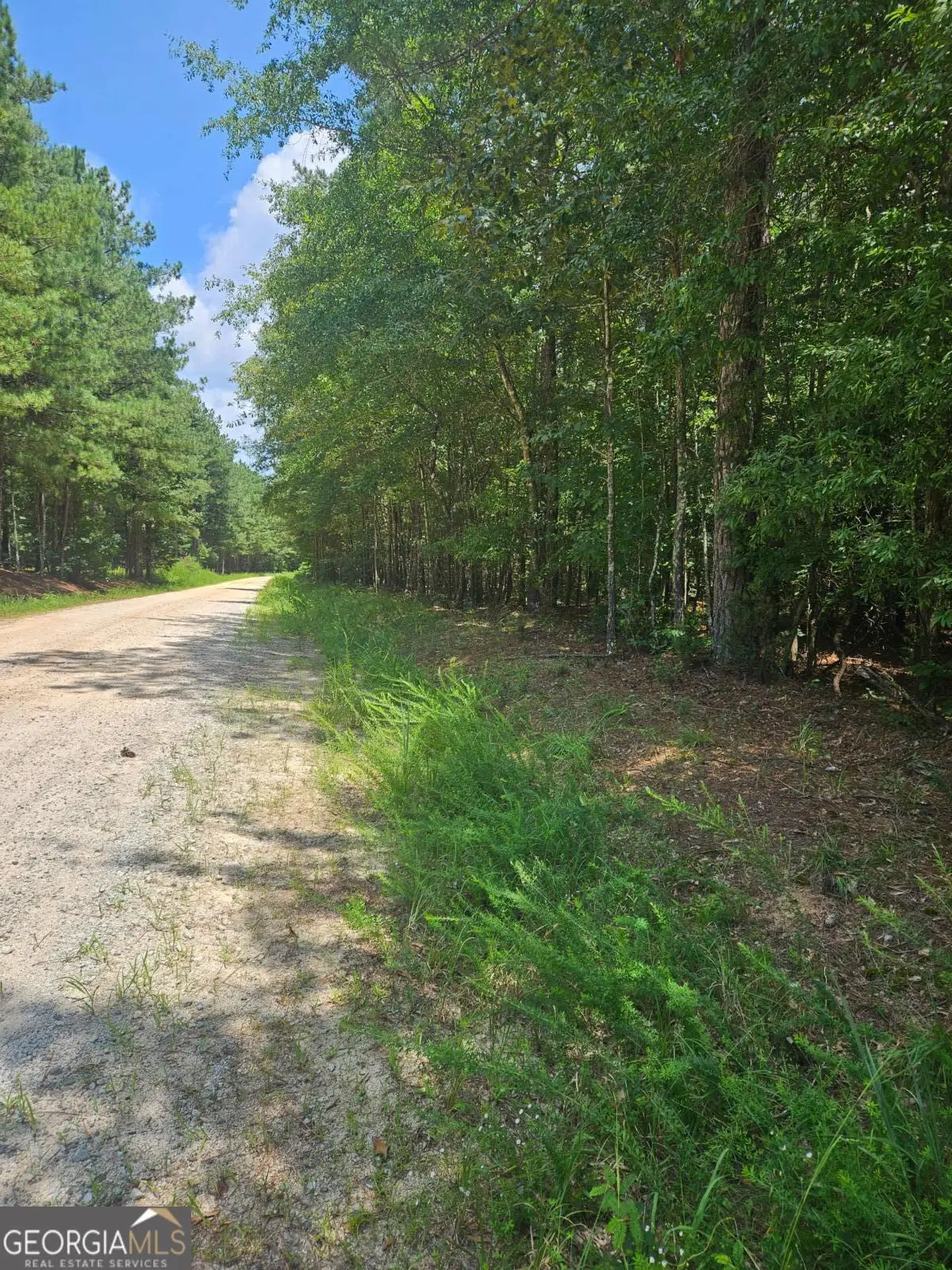 292 Mccannon Road #TRACT 3A, Carlton, GA 30627 - #1