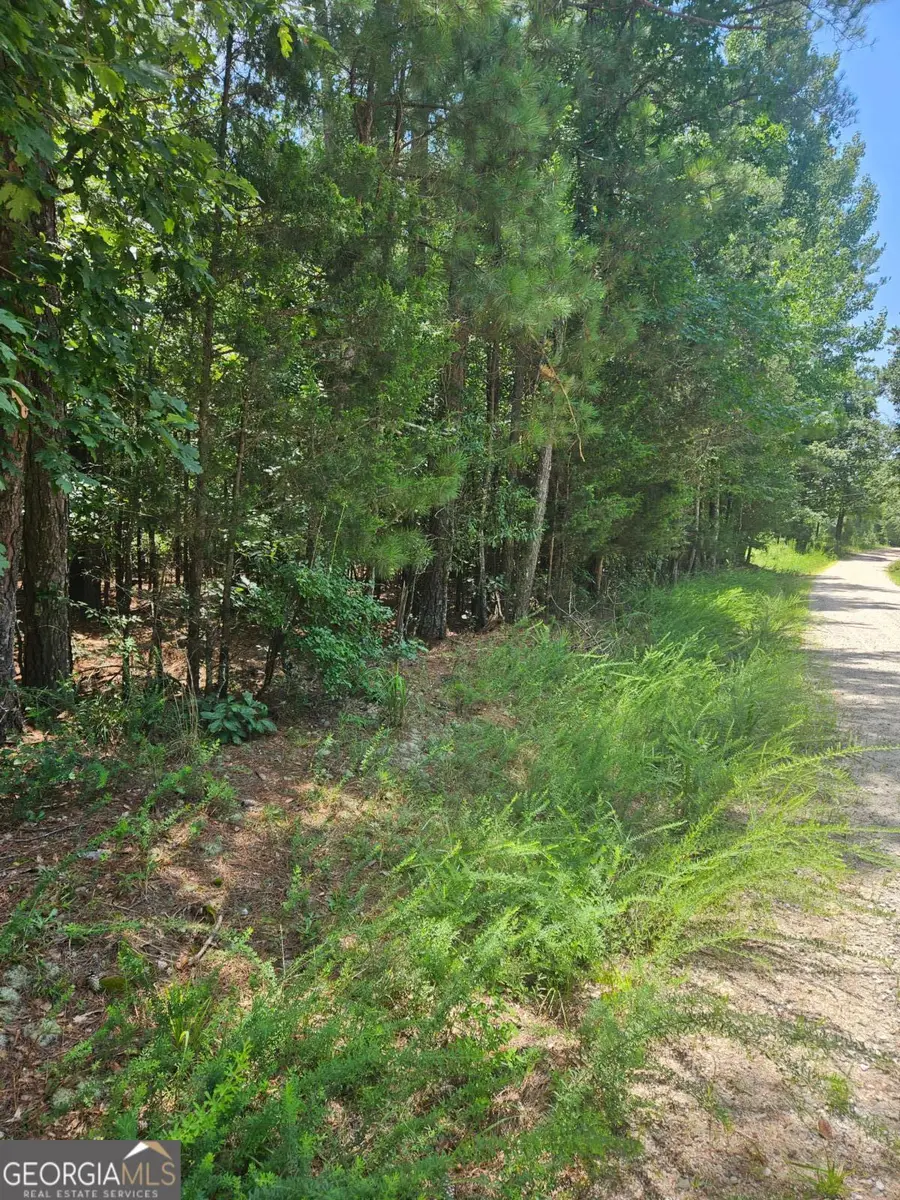 292 Mccannon Road #TRACT 3A, Carlton, GA 30627 - #2
