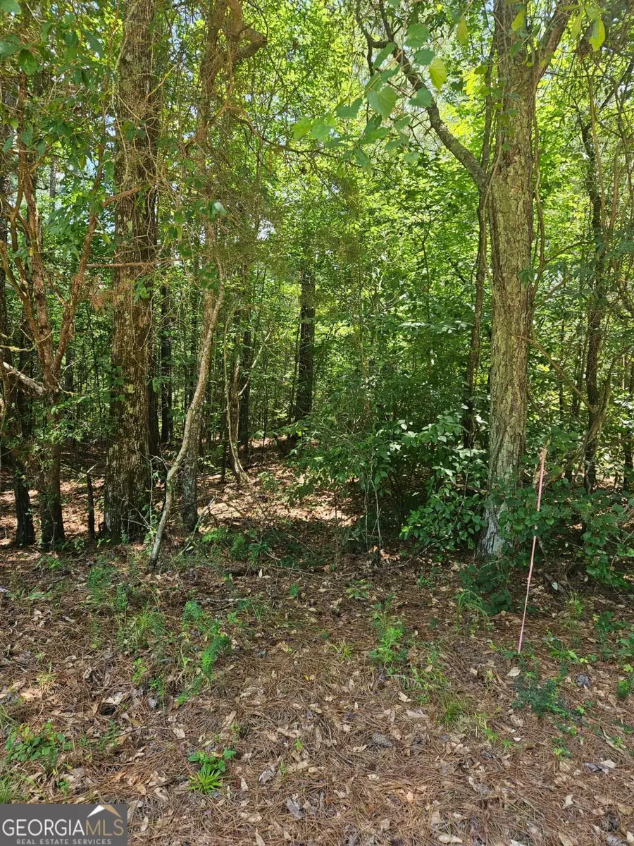 292 Mccannon Road #TRACT 3A, Carlton, GA 30627 - #3