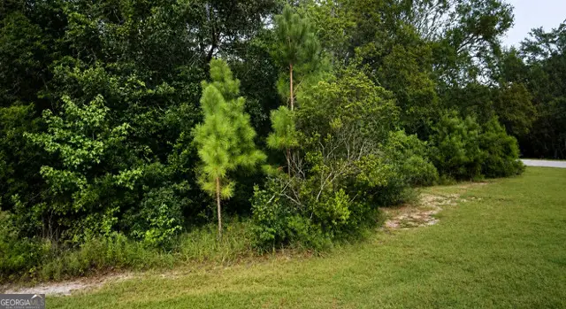 13 Ace Circle, Brunswick, GA 31523 - #3