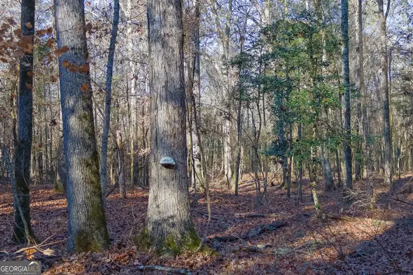 557 Limestone Road, Cochran, GA 31014
