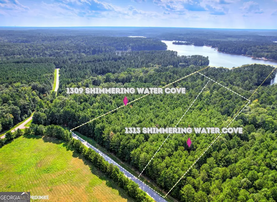 1309 Shimmering Water Cove, Tignall, GA 30668 - #3