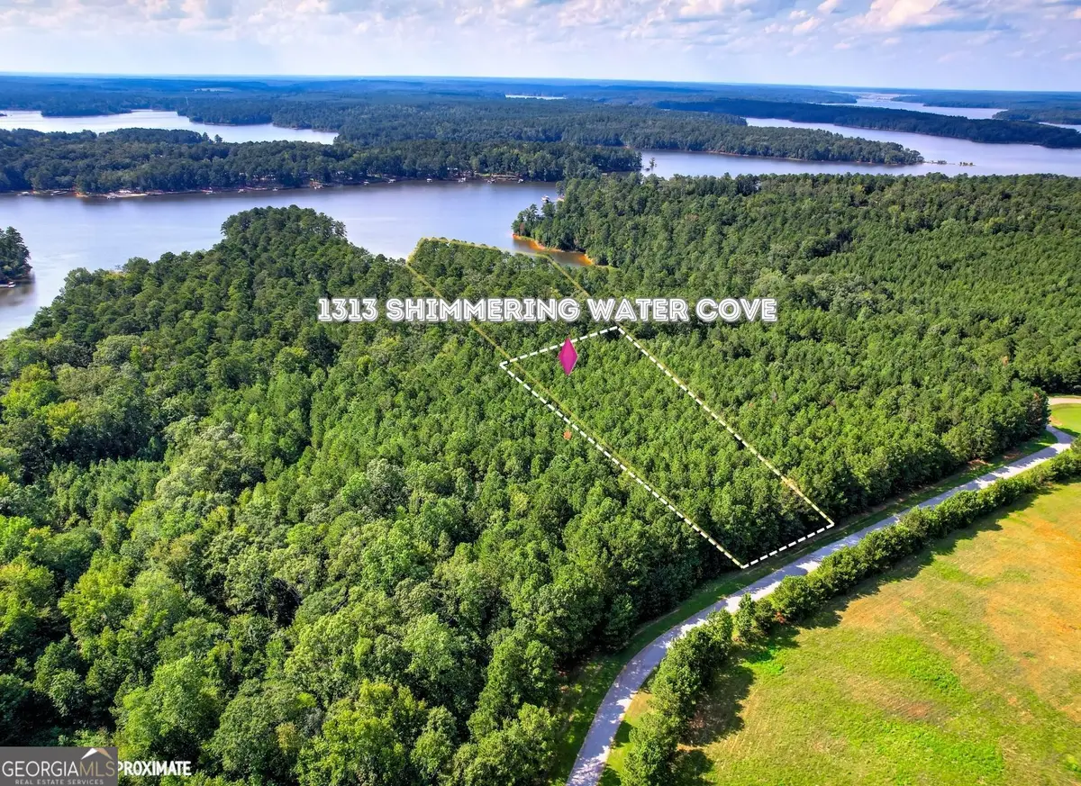 1313 Shimmering Water Cove, Tignall, GA 30668 - #1