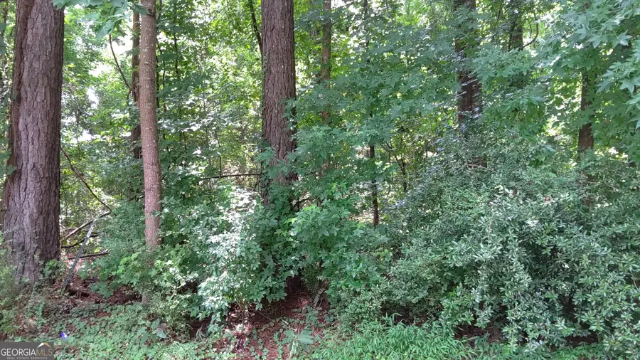 0 Cherie Court, South Fulton, GA 30349 - #2