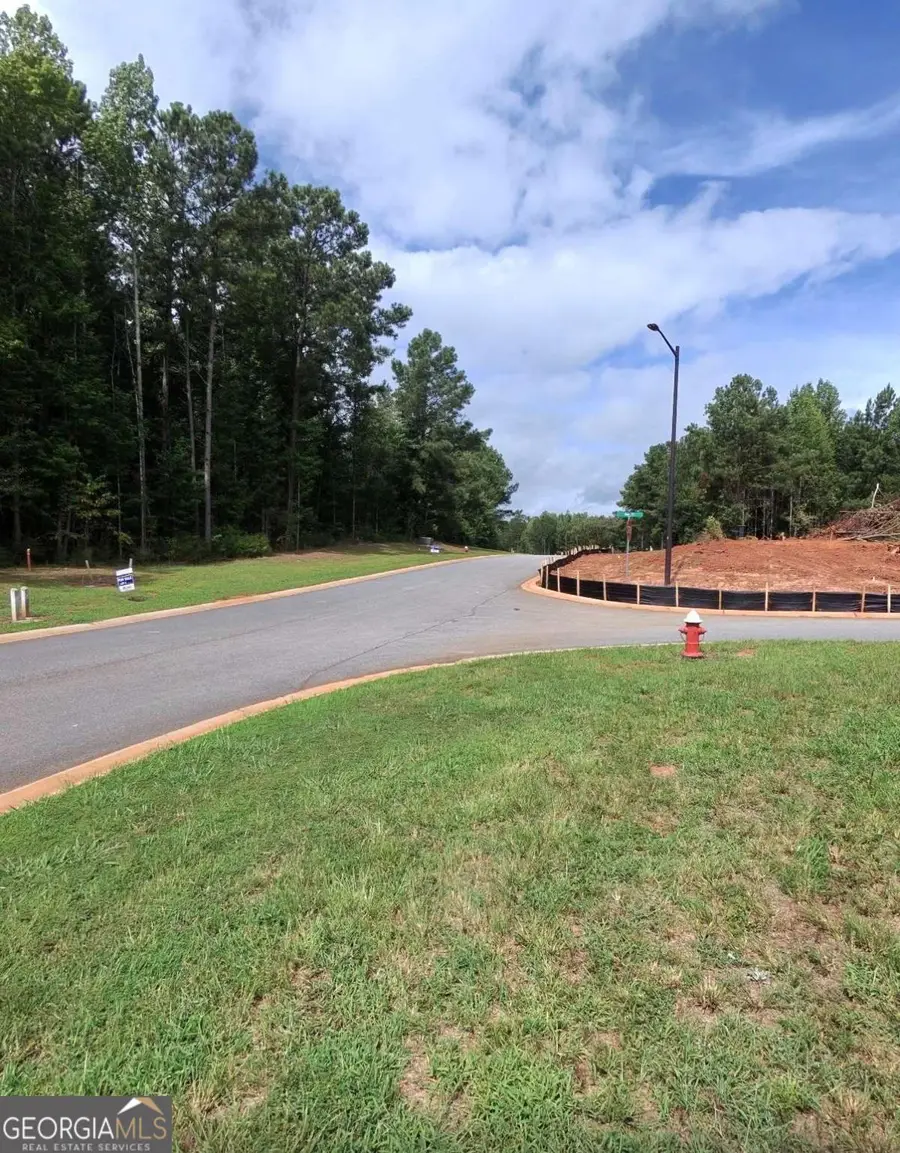 3 Wisteria Lane, Williamson, GA 30292 - #2