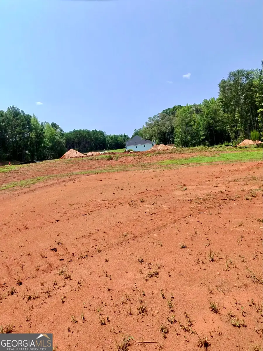 1 Wisteria Lane, Williamson, GA 30292 - #3