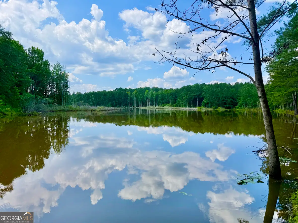 47 Pauline Drive, Reynolds, GA 31076 - #1