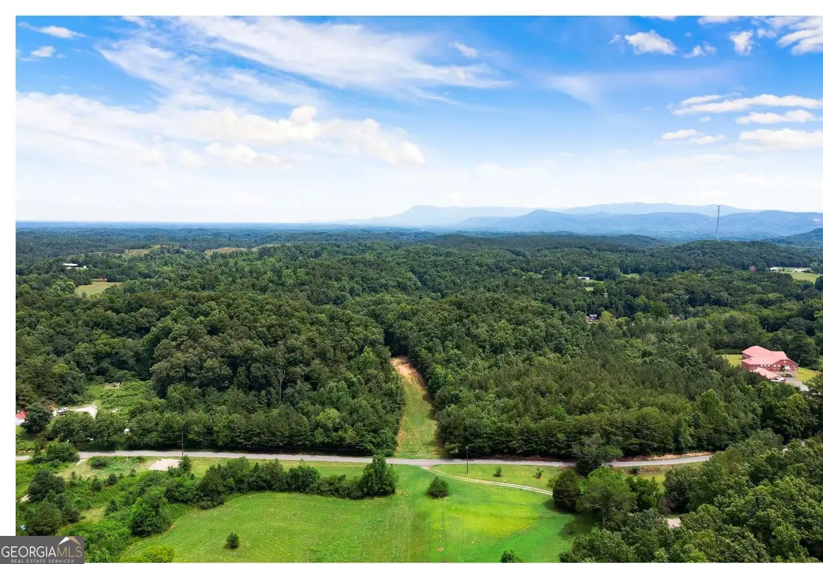 0 Hanes, Redbud, GA 30732 - #1