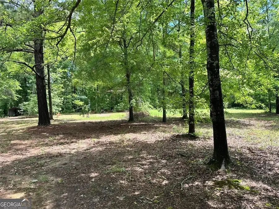 234 Vaughn Circle, Griffin, GA 30223 - #3