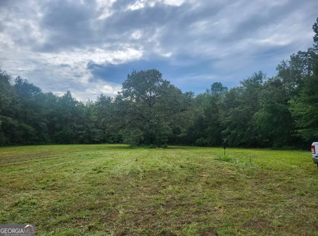 0 Lewis Station Road, Sylvania, GA 30467 - #1