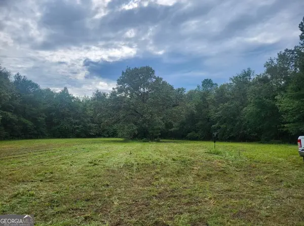 0 Lewis Station Road, Sylvania, GA 30467