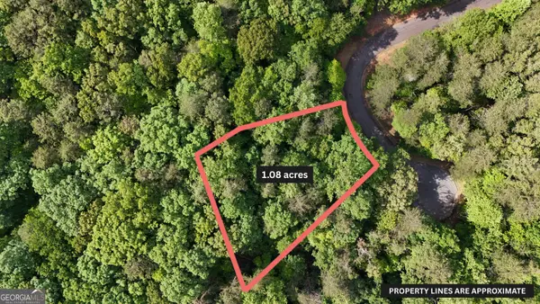 0 Terry Court, Clarkesville, GA 30523