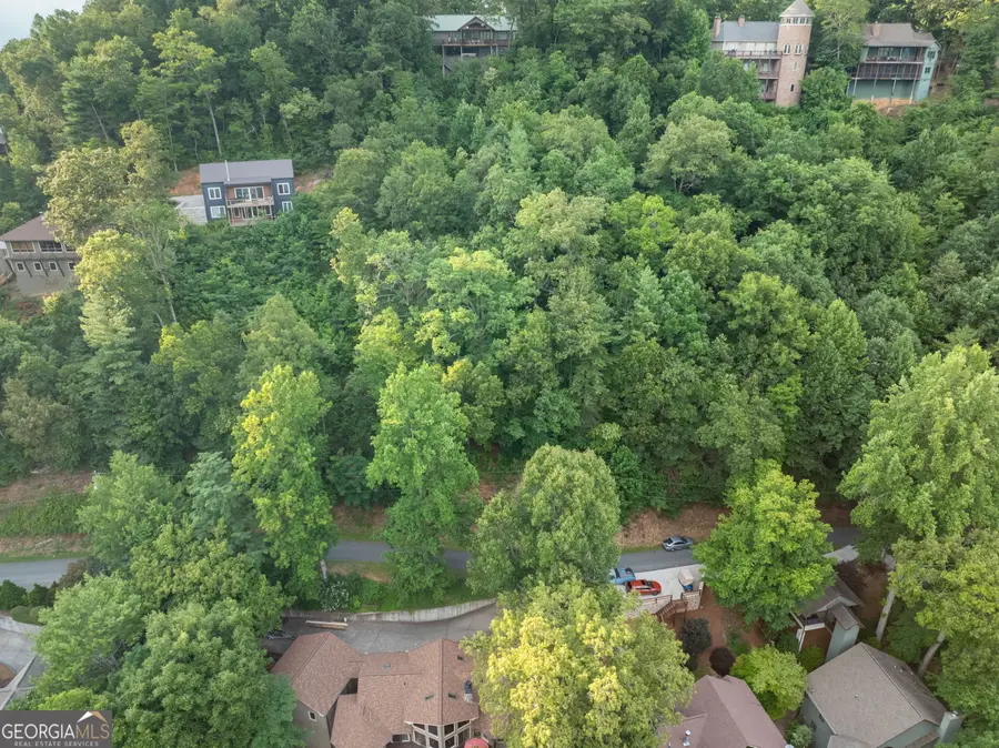 LT 61 Cherokee Trail, Lake Santeetlah, NC 28771 - #2