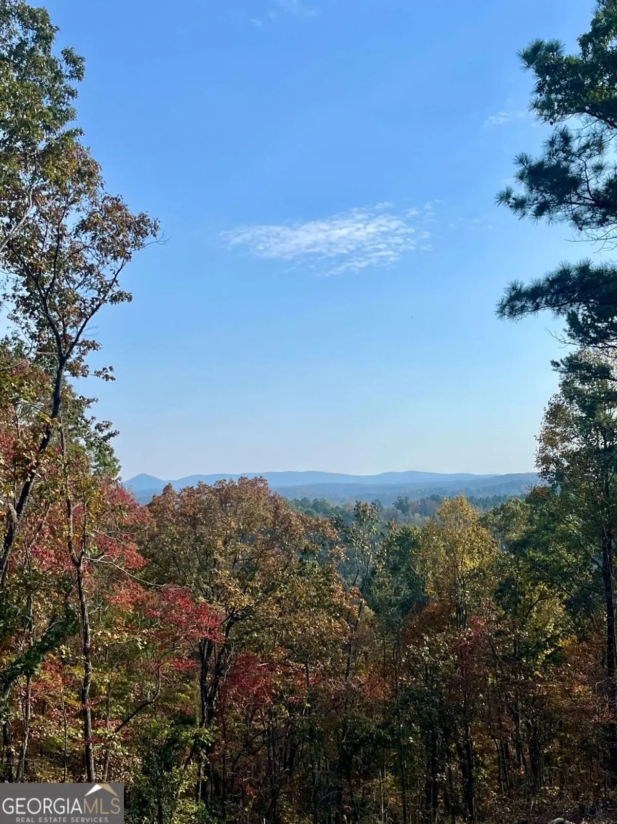 LOT 292 Creekside Crossing #292, Talking Rock, GA 30175 - #1