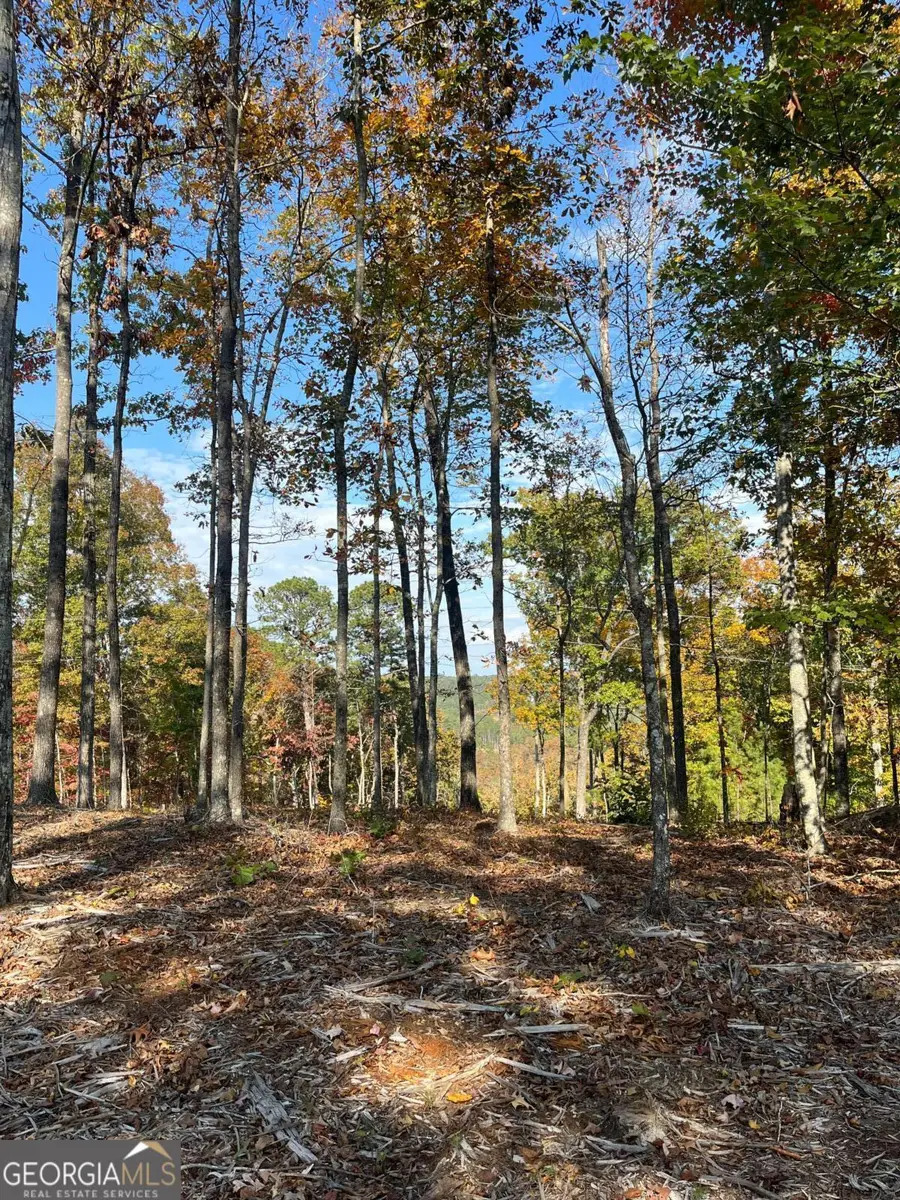 LOT 292 Creekside Crossing #292, Talking Rock, GA 30175 - #3