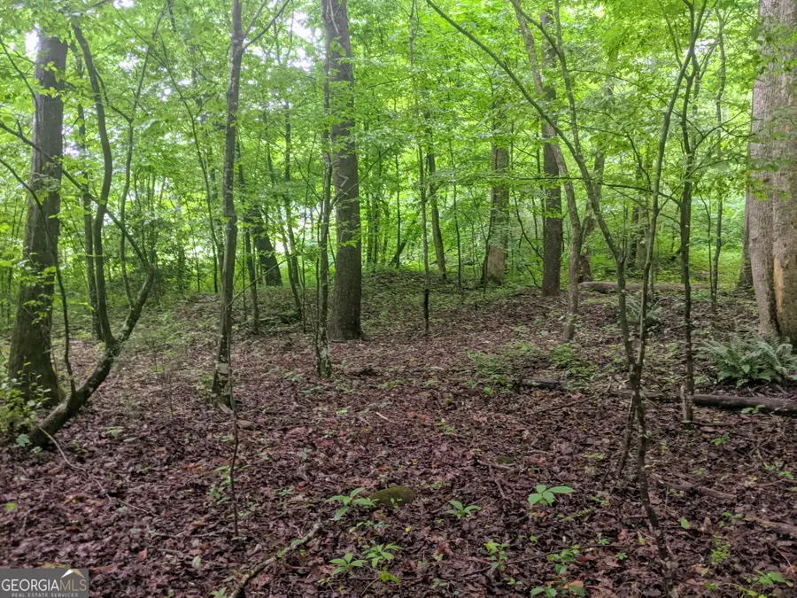 604 Possum Poke Road #22, Ellijay, GA 30536 - #2