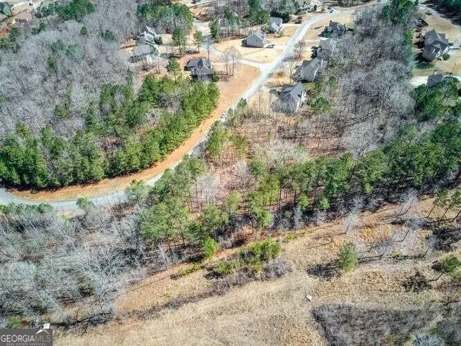 263 Principal Meridian Drive, Dallas, GA 30132 - #3