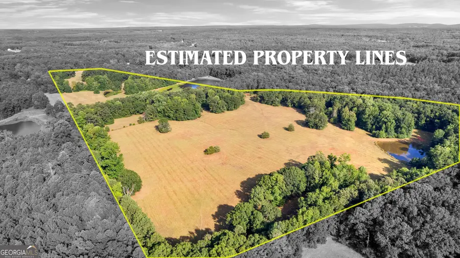 4091 Hollonville Rd, Williamson, GA 30292 - #3