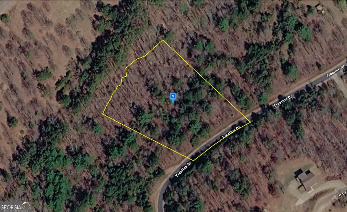 70 Treeline Dr, Blairsville, GA 30512 - #1